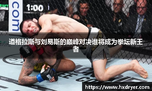道格拉斯与刘易斯的巅峰对决谁将成为拳坛新王者